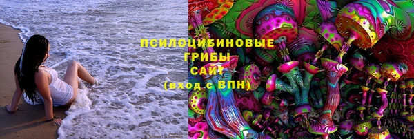 ешки Аркадак