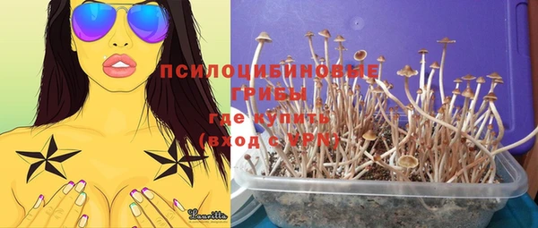 ешки Аркадак