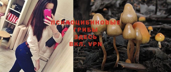 ешки Аркадак